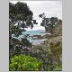 Waiheke Island 175.jpg